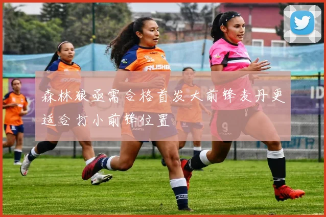 森林狼亟需合格首发大前锋麦丹更适合打小前锋位置