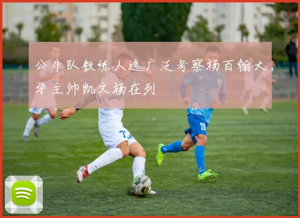 公牛队教练人选广泛考察杨百翰大学主帅凯文杨在列